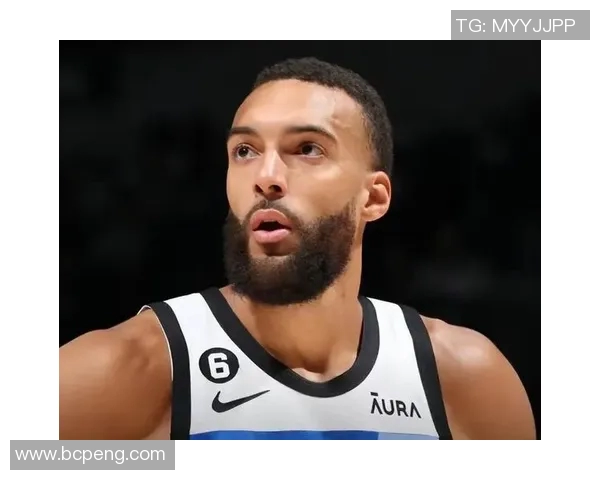 湖人大将戈贝尔加盟！球队实力大增